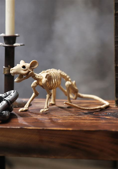 halloween skeleton rat|realistic rats.